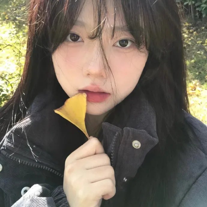 十七年命运周期